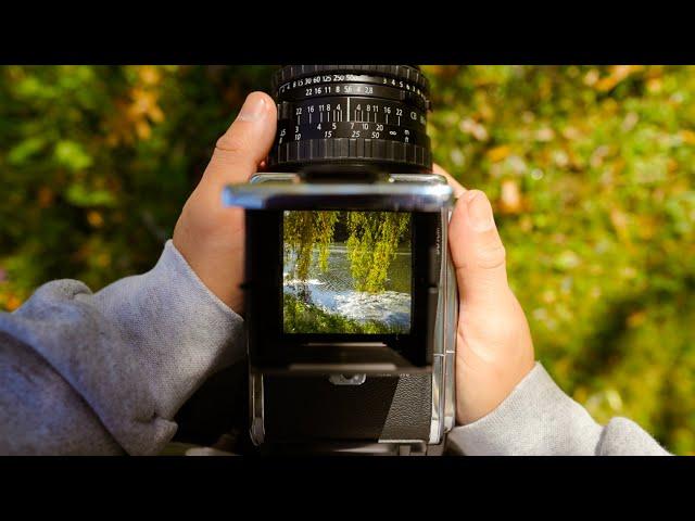 Fall Foliage on Hasselblad Ground Glass | Upstate NY