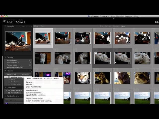 How to Move Lightroom Catalog to Another Drive