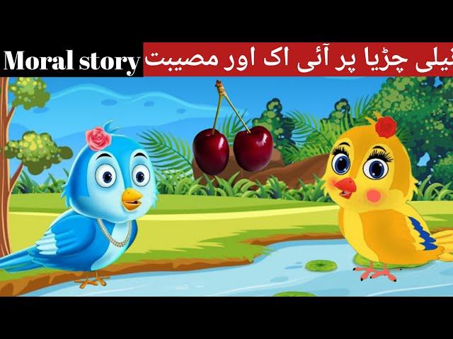 tuni chyidia ki khani|چڑیا کی کہانی|#hindistoriescartoonnew