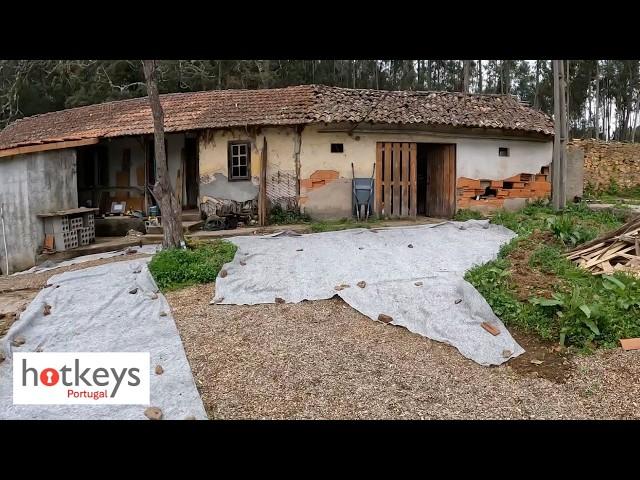 Courtyard makeover and first paint in Portugal house renovation EP67