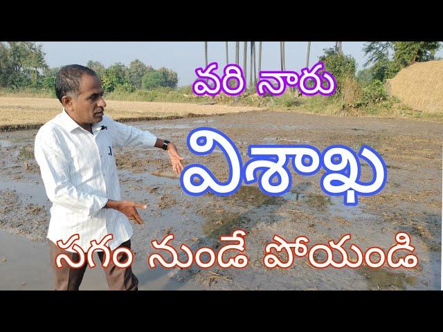 వరి నారు విశాఖ సగం నుండే పోయండి|paddy naarumadi yaajamanyam| by karshaka nestham