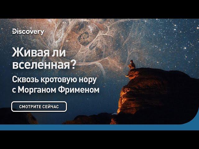 Живая ли Вселенная? | Сквозь кротовую нору с Морганом Фрименом | Discovery