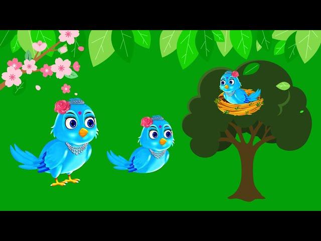 Free No Copyright /Tuni Chidiya/Green Screen Cartoon Bird/Cartoon Bird Green Screen/Taking Bird/Bird