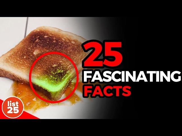 25 Fascinating Facts You Won't Learn in School