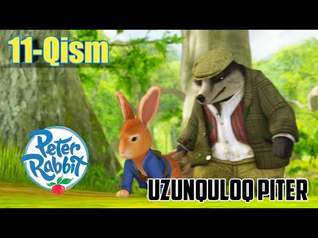 Uzunquloq Piter 11-qism o'zbek tilida #uzunquloq #piter #quyon #multfilm #osmondagibolalar #benjamin