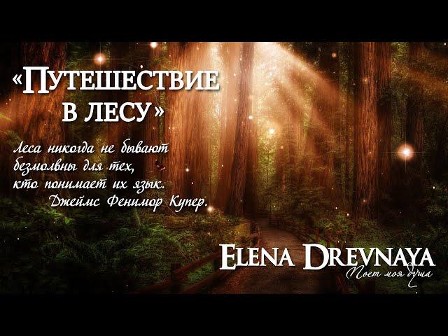 "Путешествие в лесу"  (meditation music) Elena Drevnaya