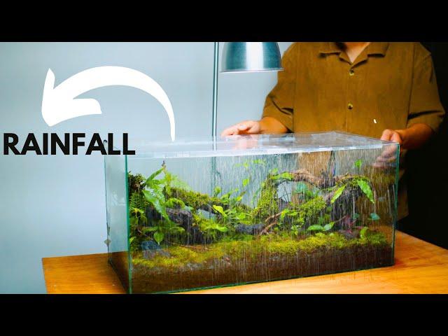 i made a forest style terrarium with a rainfall and mist | rainfall terrarium