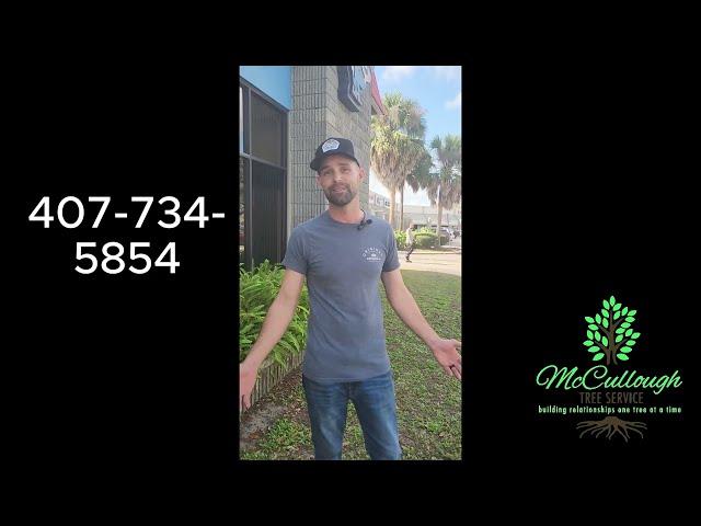 What Sets Us Apart When Hiring A Commercial Tree Removing Company/ Apopka, FL