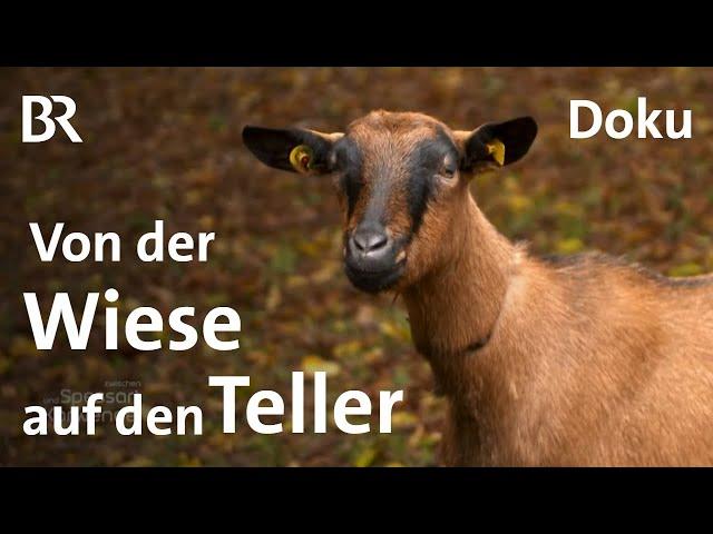 Bocksbraten: Paul Enghofer beim Kochen zur Kerwa | Doku | Zwischen Spessart und Karwendel | BR