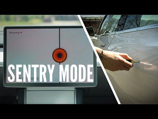 Tesla Sentry Mode and Dashcam Tutorial | 2022 Update