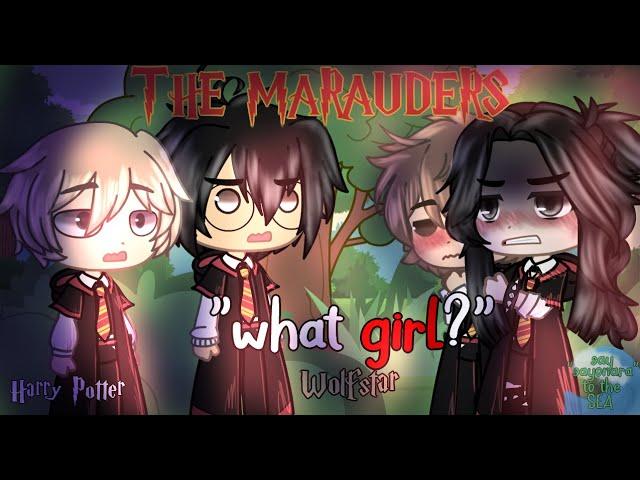 “ what girl? ,,  the marauders — wolfstar [HP]