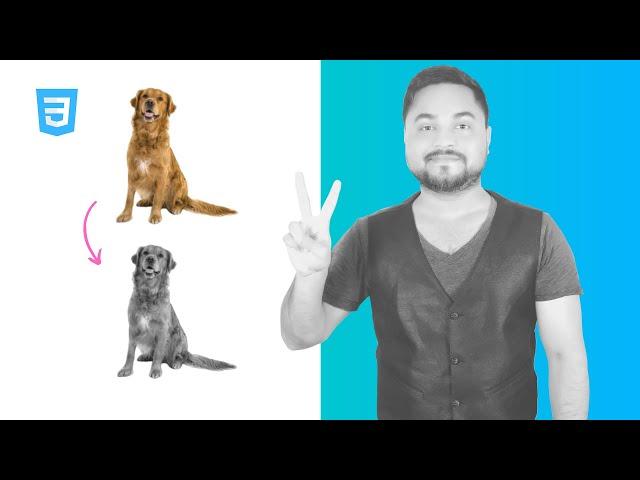 CSS Image Filters: Adding Visual Effects To Images (Udemy & SkillShare Course Trailer)