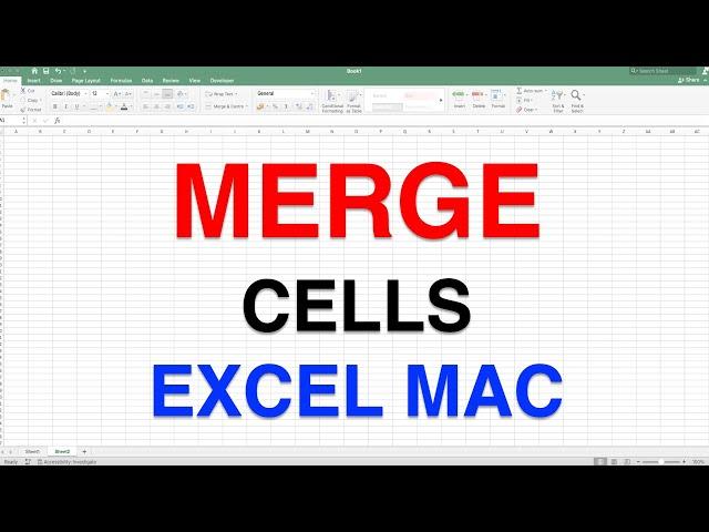 How to Merge Cells in Excel [ MAC ]