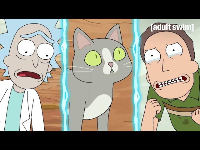Don't Ask Why the Cat Can Talk | Rick and Morty | adult swim