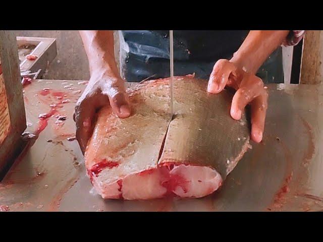 Huge Big Rupchanda Fish Cutting Skills by Matchine | Bangladesh Fish Market