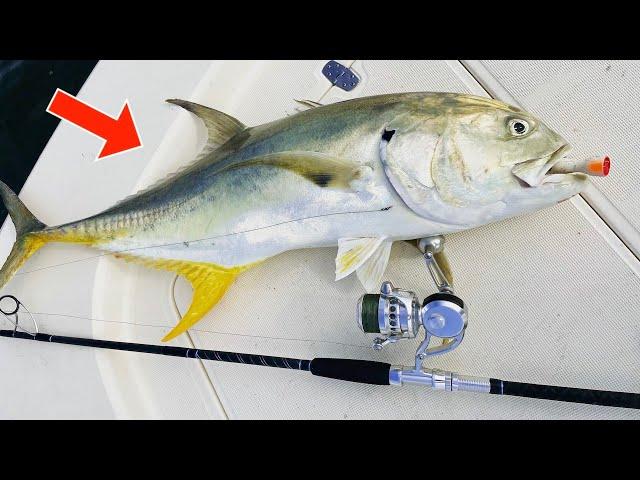 SO You Wanna Catch HUGE! JACKS....? TRY THIS