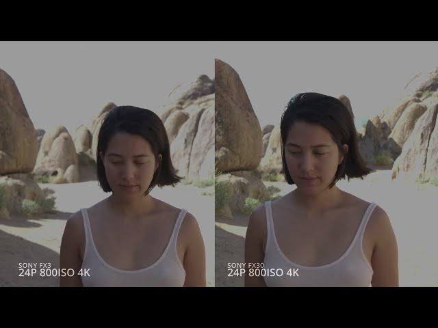 Sony FX30 vs Sony FX3 real world comparison side by side