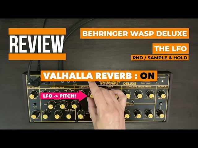 Review - 4 things I love about the Behringer Wasp