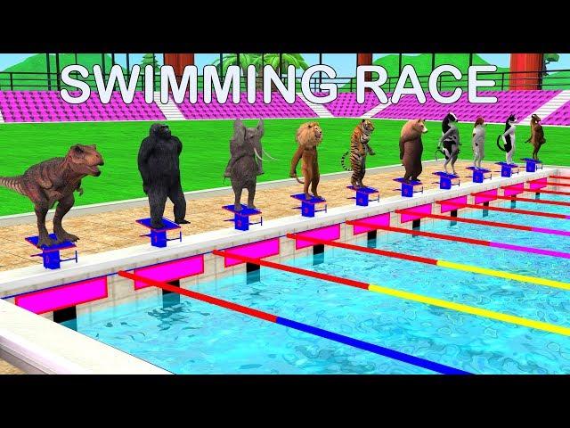 Animals Cartoon Swimming Race Motor Bike Race Swimming Pool For Kids | Learn Animal Names And Sounds