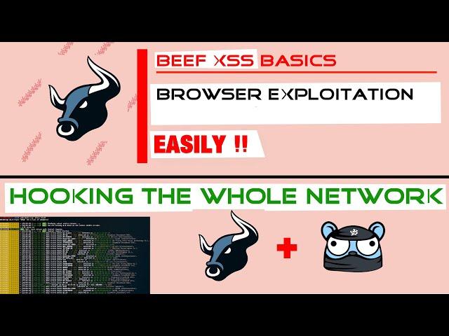 Basics of using the Beef-XSS To Advanced + Bettercap!!