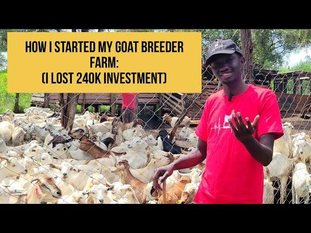 How I started my Goat Breeder Farm: I lost 240k Investment | +254716843979