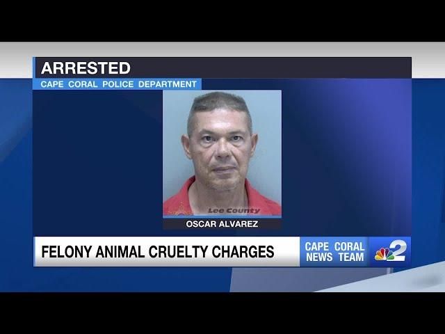 Cape Coral man accused of letting mass grow on dog's face without treatment leading to humane eut...