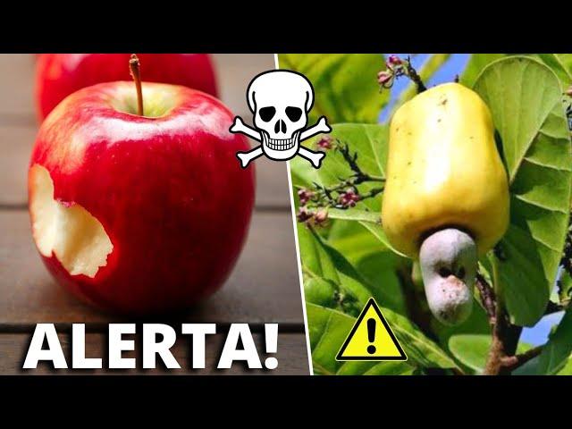 As 10 Frutas Mais PERIGOSAS do Mundo Que Você Não Sabia e Deve Tomar CUIDADO (Parte 2)