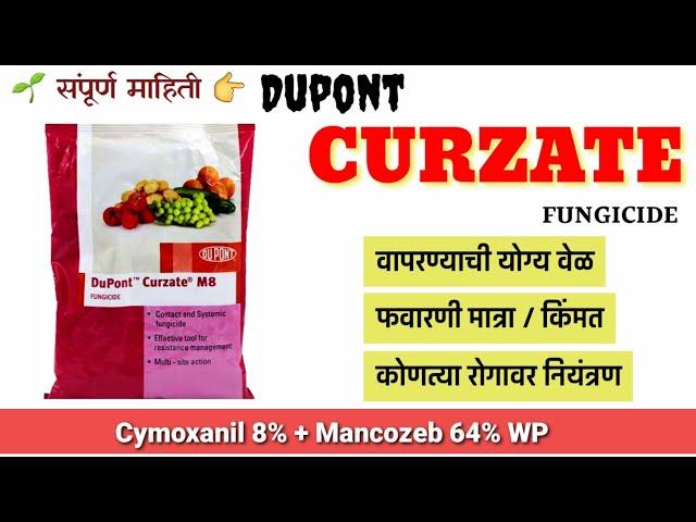 Curzate Fungicide || Dupont Curzate Fungicide || Content | Dose | Price | Mode of Action | Dupont