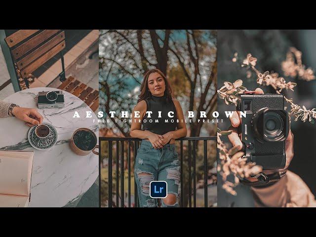 Aesthetic Brown Filter - Aesthetic Lightroom Preset Free Download - Mobile Lightroom Tutorial