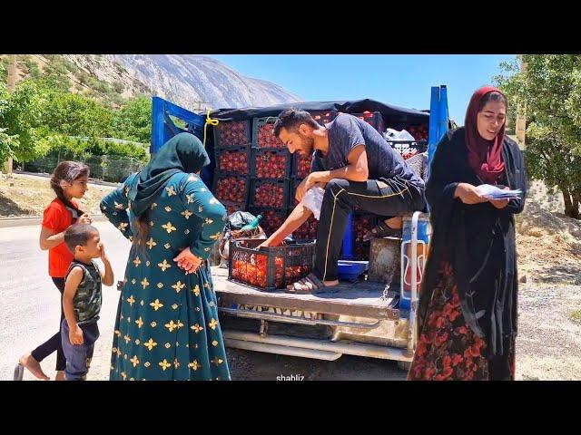 Trying to provide alimony" Qasim's fruit shop with a mobile van