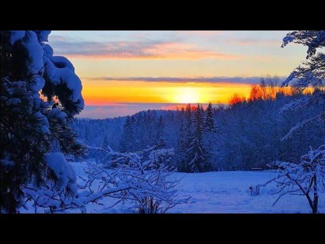 ОХОТА НА ЗАЙЦА С ГОНЧИМИ В КАНУН РОЖДЕСТВА! ДОБЫЛ В ТЕМНОТЕ!