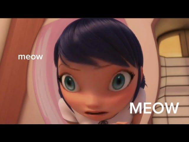 Miraculous Ladybug Season 5 but it's completely out of context (p.s it's very chaotic)