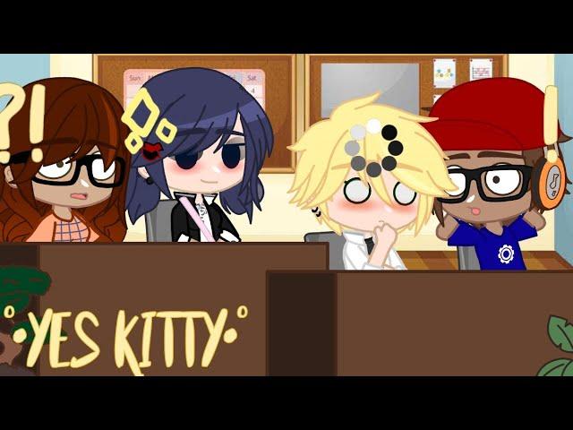 °•Yes kitty•° {meme} {adrinette/marichat} {MLB}