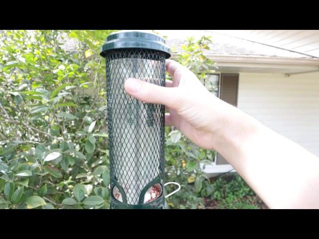 Best Bird Feeder? | Squirrel Buster Squirrel-Proof Feeder