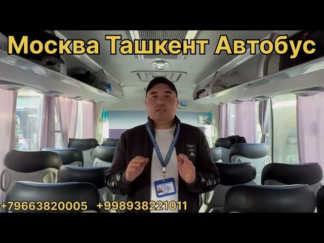 автобус москва ташкент