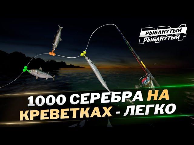 Норвежское море ФАРМ СЕРЕБРА на КРЕВЕТКАХ ● Русская Рыбалка 4