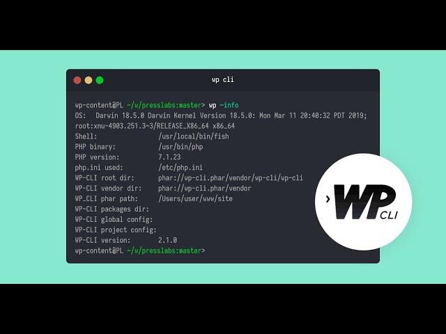 WP-CLI Integration in Aiomatic: Automate AI Content Editing & Bulk Post Creation!