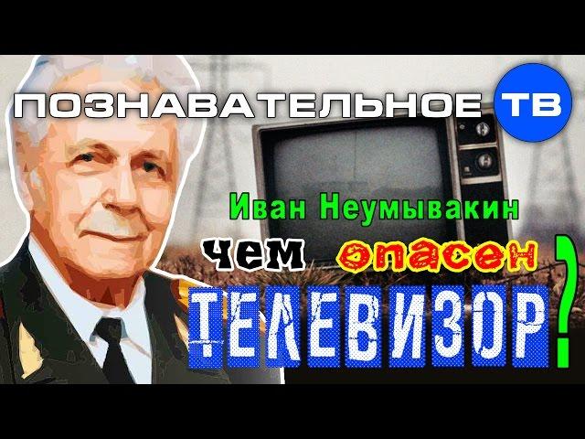 Чем опасен телевизор? (Познавательное ТВ, Иван Неумывакин)