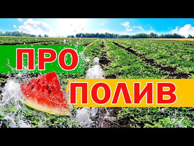 Про полив  26 06 21