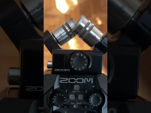 What Are They Not Suitable For? Zoom H5 vs H8