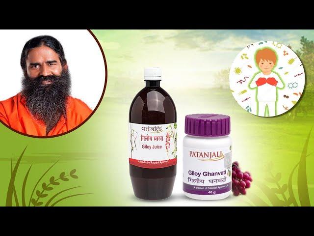 Amazing Health Benefits Of Giloy | Patanjali Giloy Juice