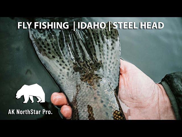 Fly Fishing | Idaho | Steel Head