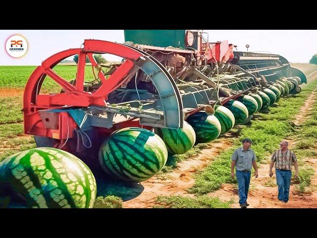 100 Modern Agriculture Machines That Are At Another Level #3