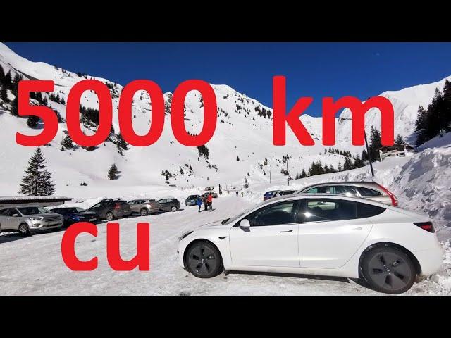 Review Tesla Model 3 60 kwh dupa 5000 km!