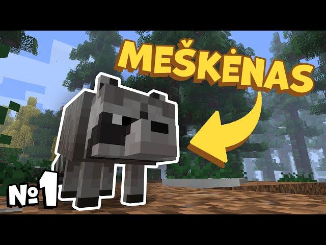 Geresnis Minecraft!  #1