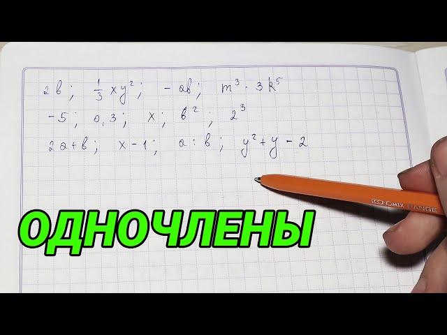 Одночлены - алгебра 7 класс. Коэффициент. Одночлены стандартного вида