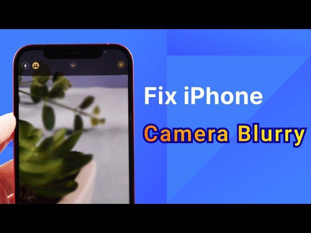 How to Fix iPhone Camera Blurry, Auto Focus Not Working Fix iPhone Camera Won't Focus