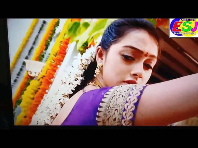 Agnishakshi serial telugu romantic husband||Entertainment begins||