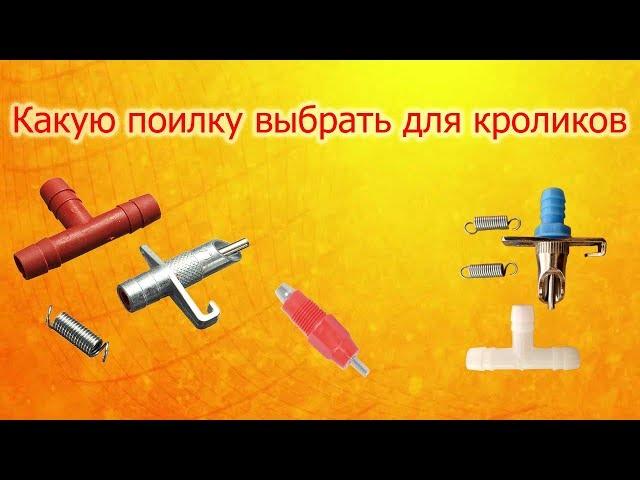 Поилки для кроликов какие выбрать.