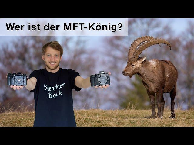 Olympus OM-1 vs Panasonic G9 II - Welche MFT Kamera für die Wildlife Fotografie?